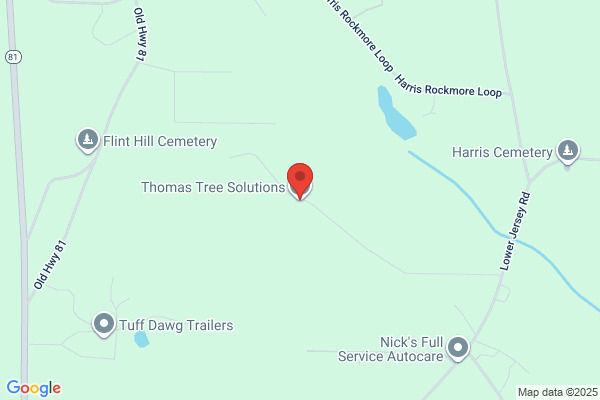 Thomas Tree Solutions