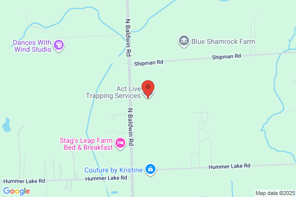 Act Live Trapping Services