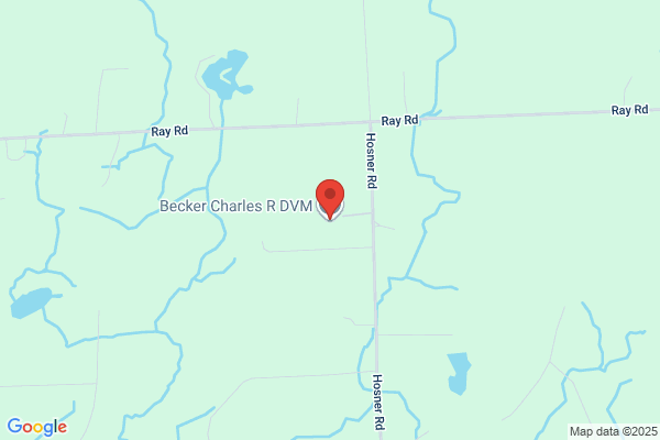 Becker Charles R DVM