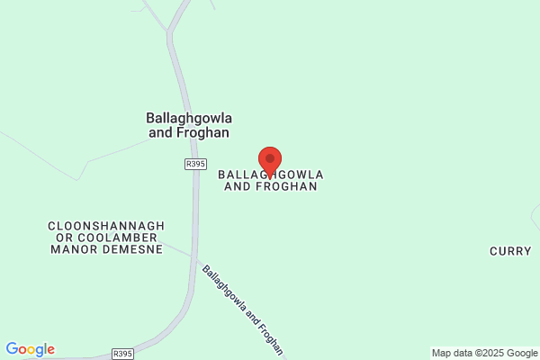 Ballagh Don L & Son