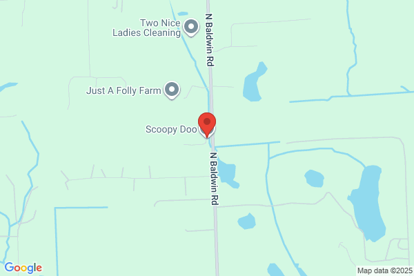 Scoopy Doo