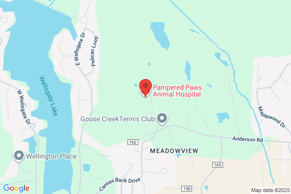Pampered Paws Animal Hospital