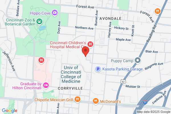 Kristin Schneider, MD