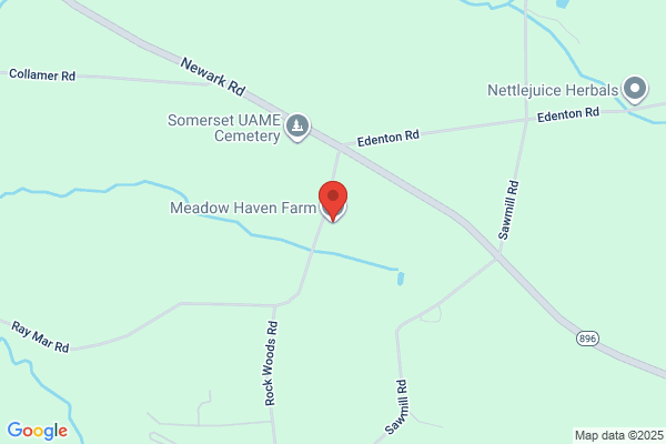 Meadow Spring Farm
