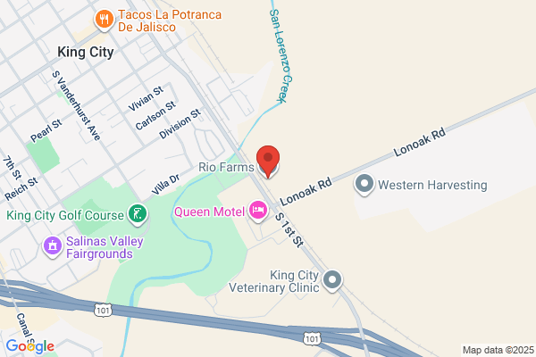 Rio Farms Marketing Inc