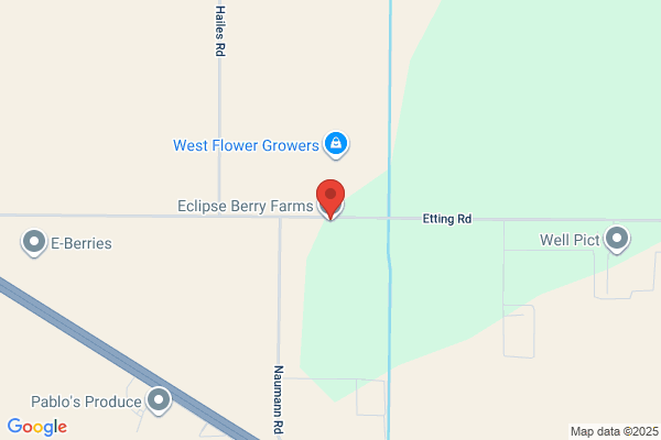 Saticoy Berry Farms