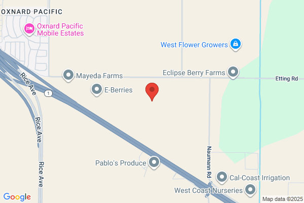 Pacifica Dental