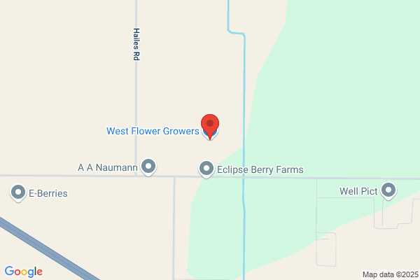 Ito Flower Growers