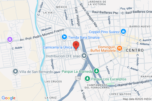 Carniceria La Unica
