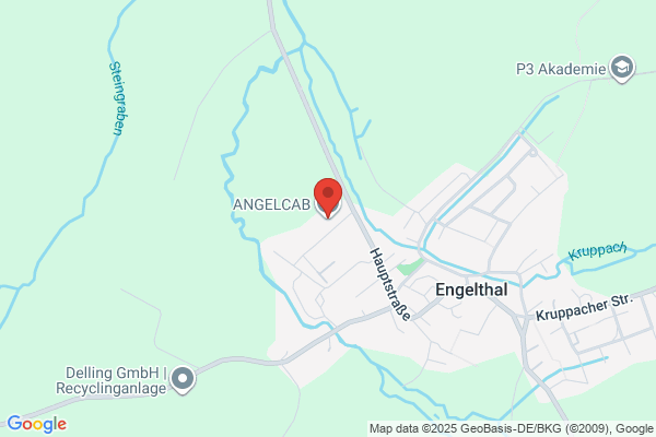 Angel Cab Service