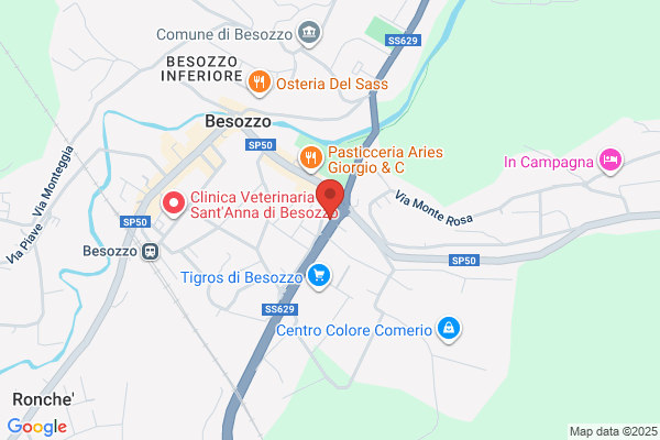 Tenti Francesco MD