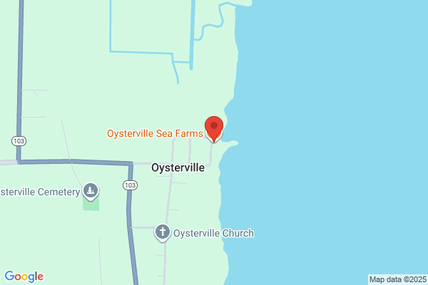 Oysterville Store
