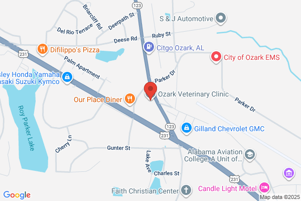 Ozark Veterinary Clinic LLC