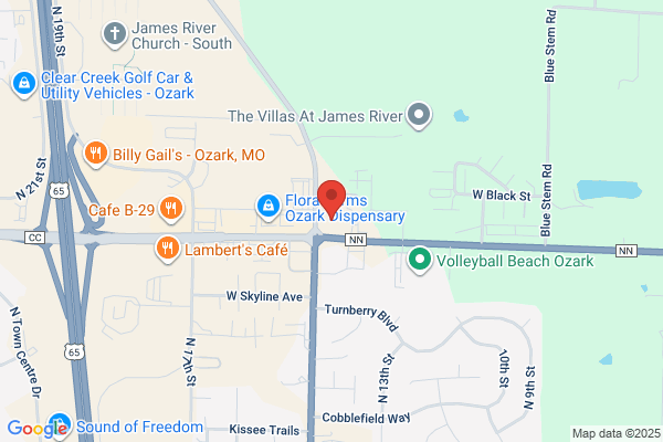 Ozark Bank, Branch Bank