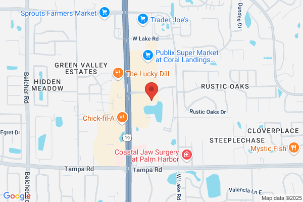 Geographic Solutions Inc