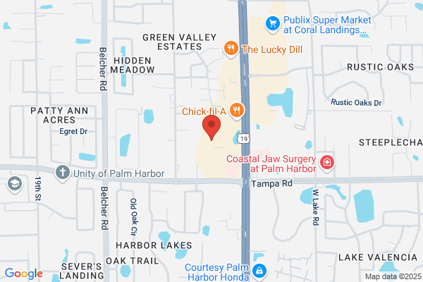 Maid In Palm Harbor
