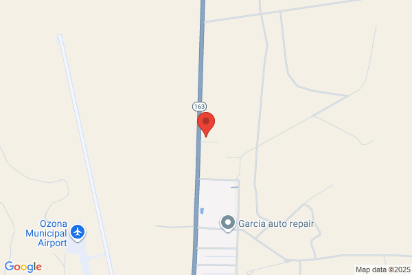 Thorp Tom Transports