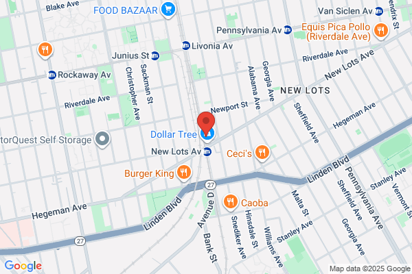 New Lots Deli & Grill