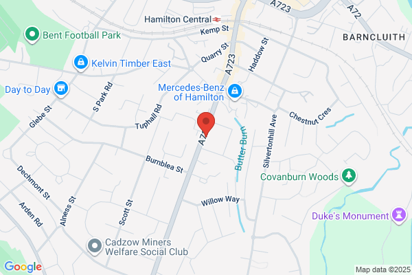 Hamilton Washer Service
