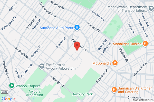 Advance Auto Parts