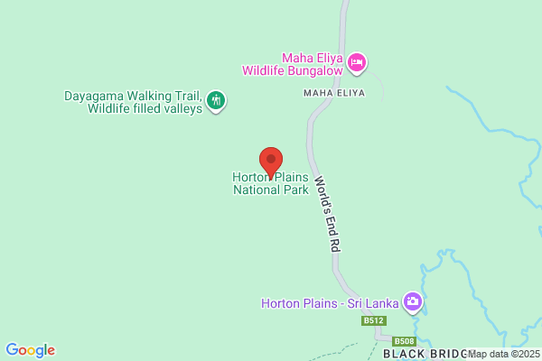 Horton Tourist Home