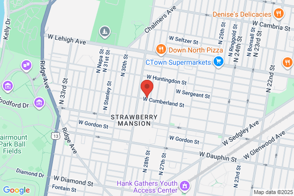 Pest Free Maintenance