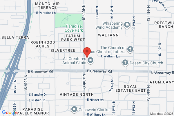 AAA Paradise Valley Auto Repair Center