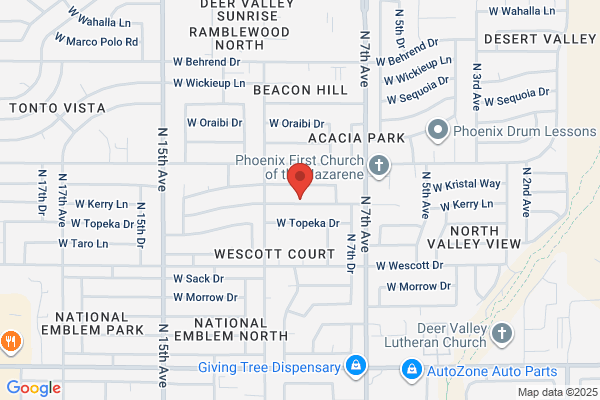 Cholla Carpet Care