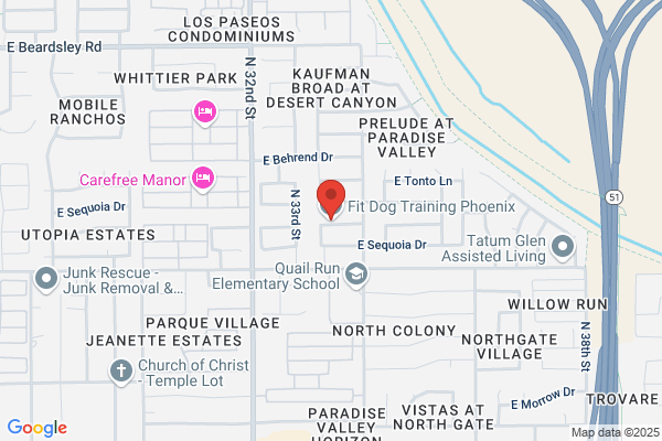PHOENIX DOG TRAINING