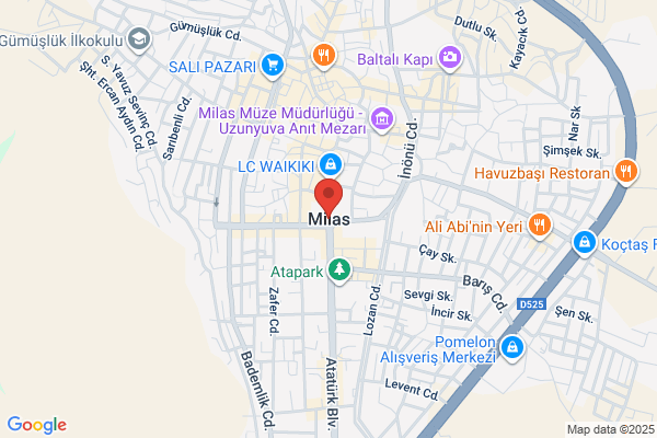 Mira Milas, MD