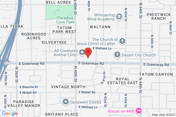 AAA Paradise Valley Branch