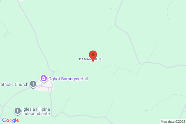 Geraldine Camantigue, Bankers Life Agent