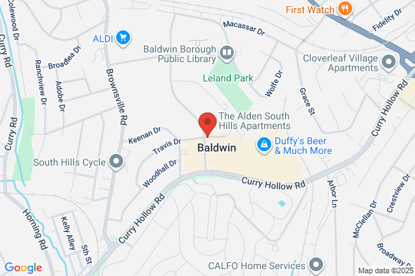 Baldwin Boro, Library