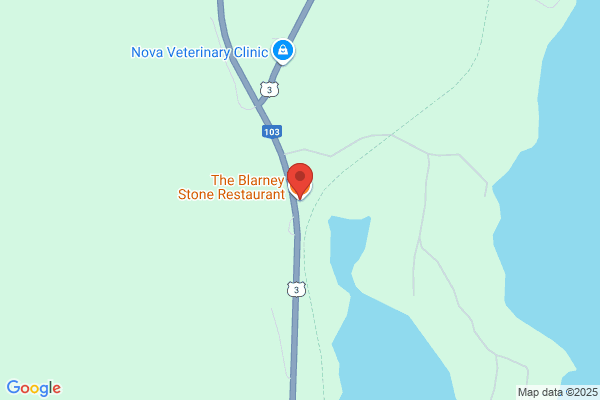 Blarney Stone Restaurant