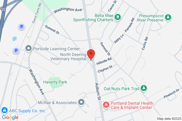 North Deering Veterinary Hospital