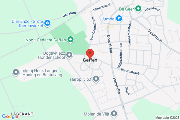 Geffen Stanley D