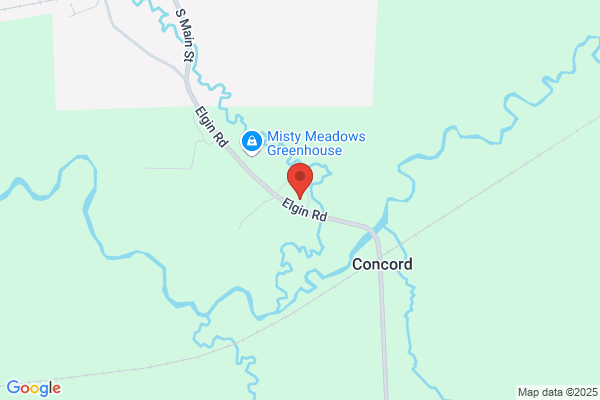 Cox Auctions