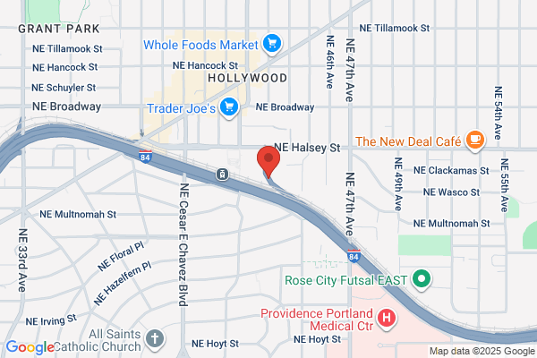 Dental Health Services Inc
