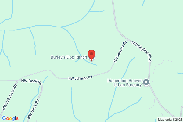 Burley's Dog Ranch