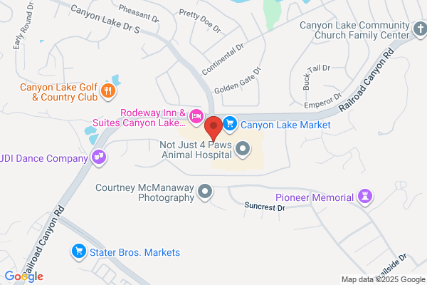 Biondi Maggie Attorney