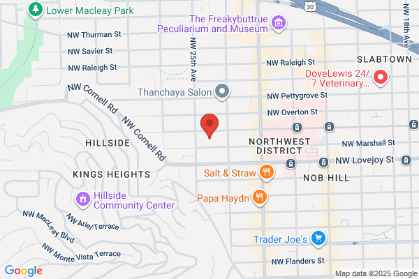 Schneider Rasche LLC
