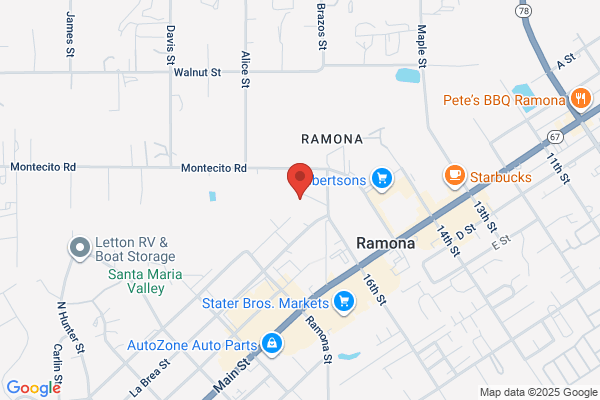 Thompson Patricia L Attorney