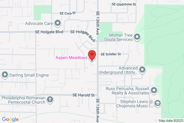 Aspen Meadows