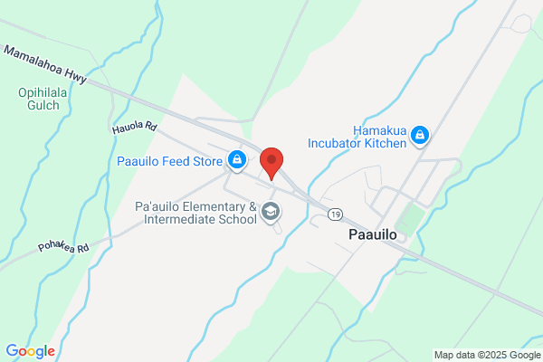 Paauilo Village Service
