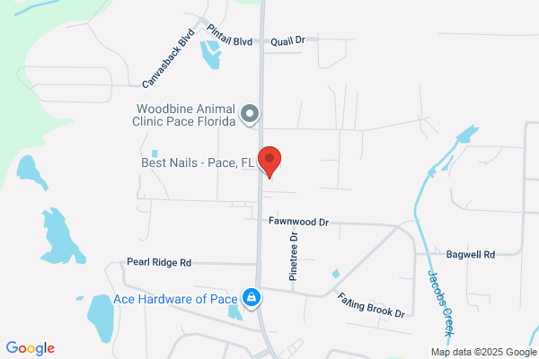 Bug Out Service West Florida