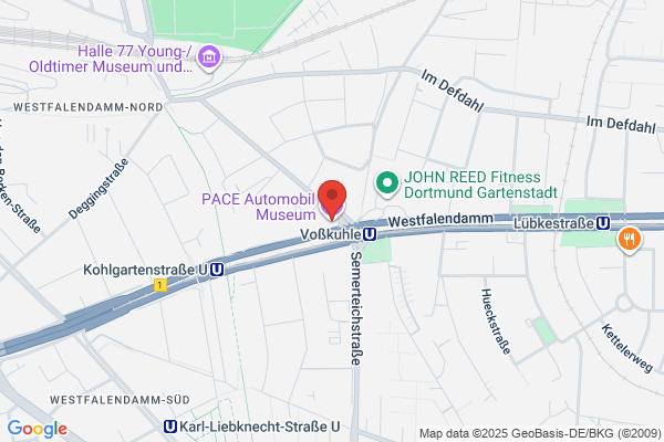 Detailed Shine Auto Detailing