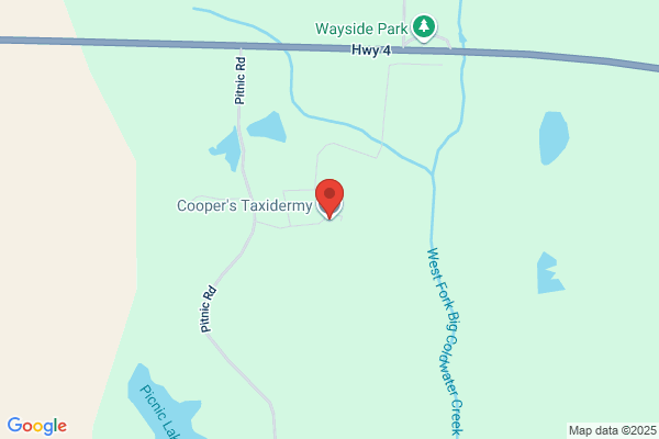 Coopers Taxidermy Inc