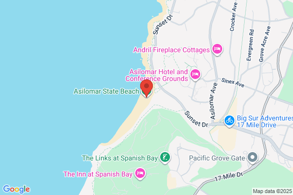 Dive Monterey