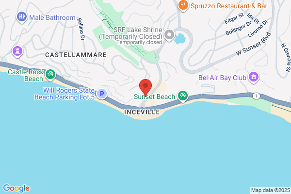 PAPA Water Damage & Mold Pacific Palisades