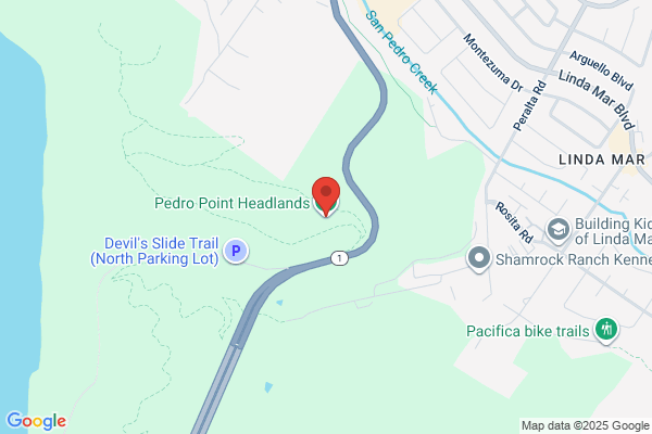 Pedro Point Cleaners